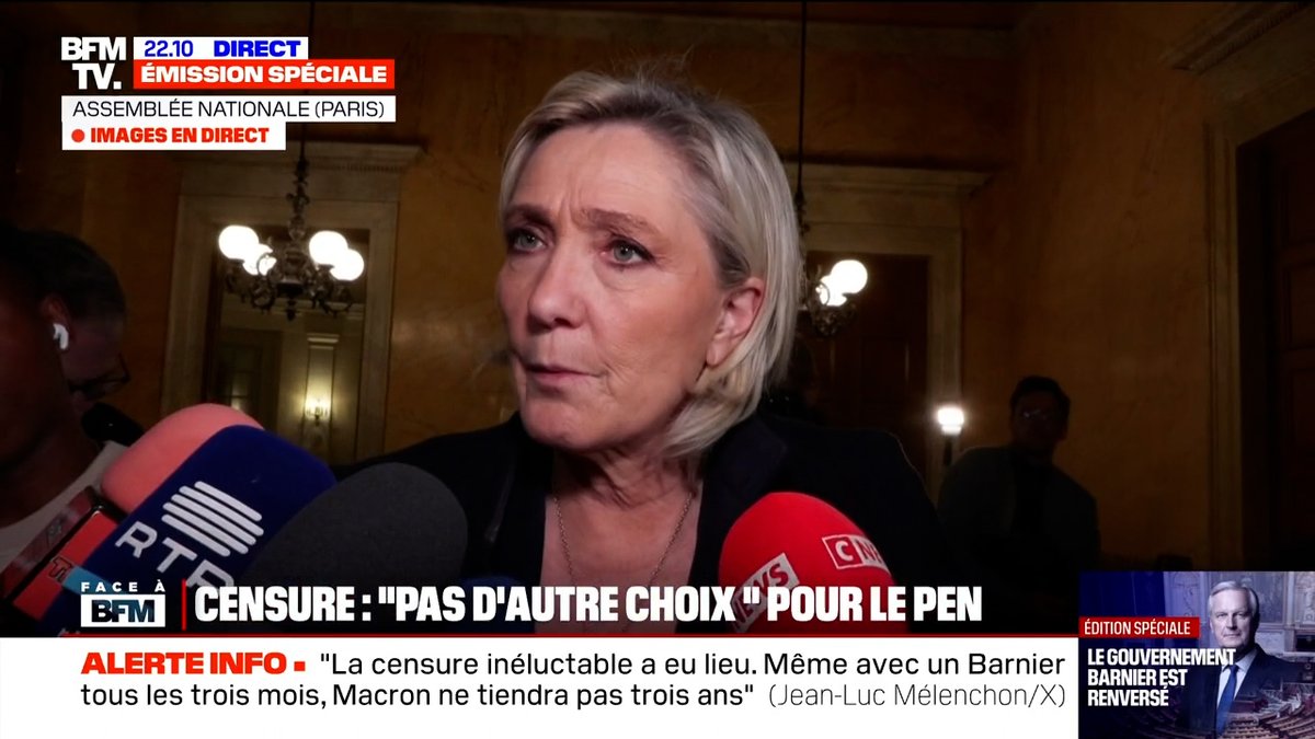 Nous avons reçu, nous, députés du Rassemblement national, un mandat de nos électeurs : celui de les protéger. Ce soir, les Français échappent à un budget toxique qui portait atteinte à leur pouvoir d'achat et qui augmentait les impôts.