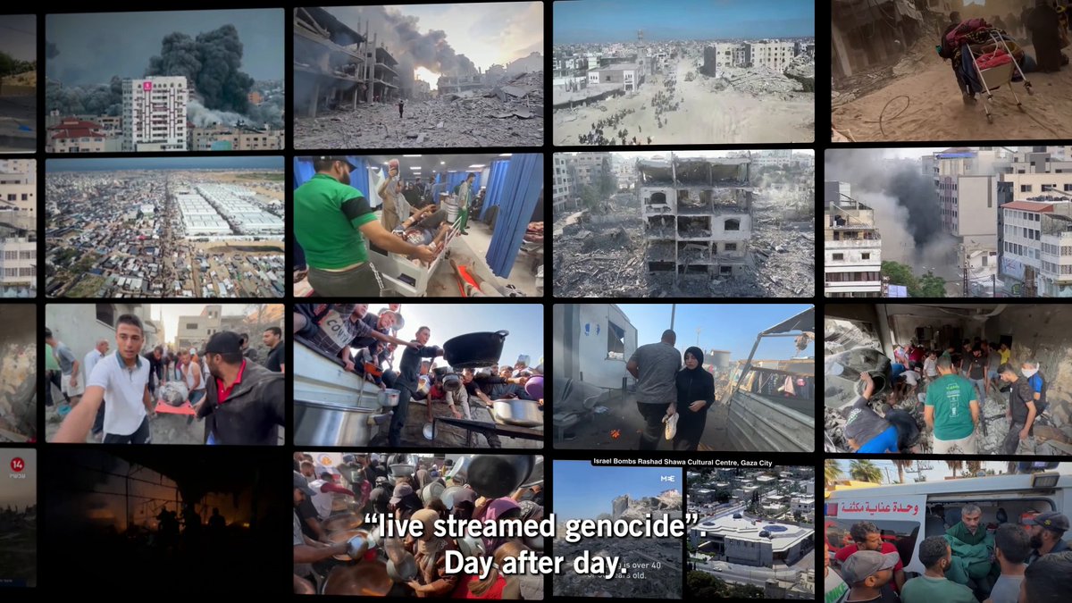 The state of Israel has committed genocide against Palestinians in the occupied Gaza strip. Watch this video to understand how Amnesty International arrived at this conclusion. Governments must take action—they have the power to end this genocide. #EndGazaGenocide