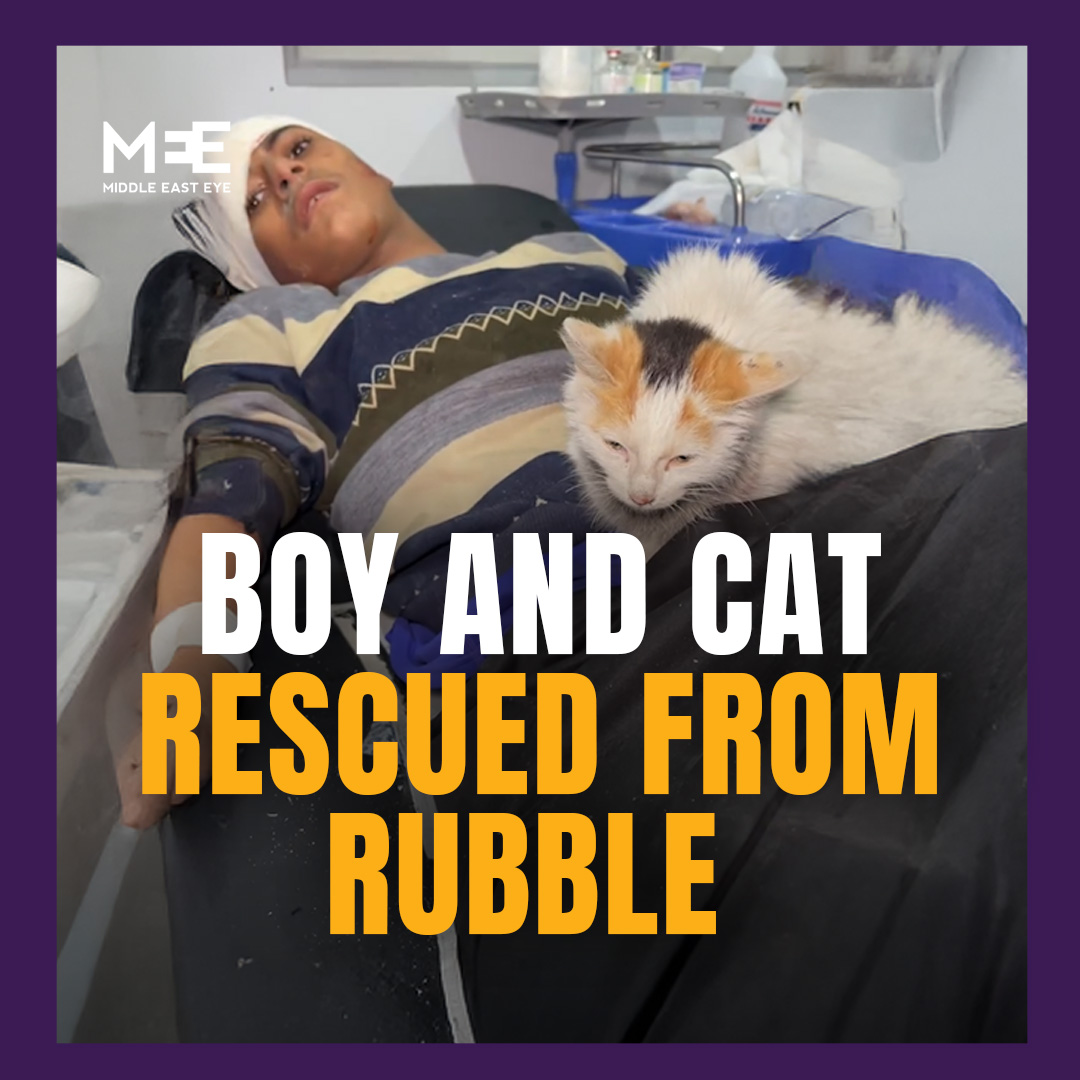 A video widely shared online shows the moment a teenage boy and his cat were rescued from beneath rubble in Gaza. Later footage shows the rescued cat staying by the boy’s side as he receives treatment in hospital.