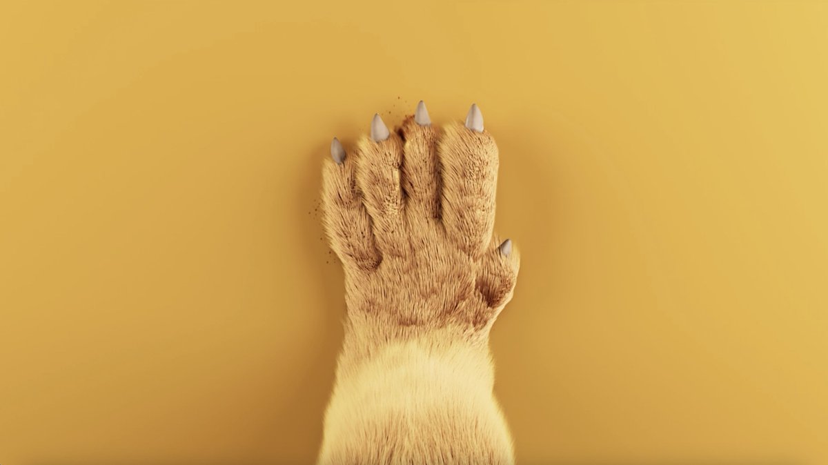 Grrr! 🦁 #MufasaElReyLeón pasó a dejar huella, ¡y me encanta! 🤩 Te presumo mi C.