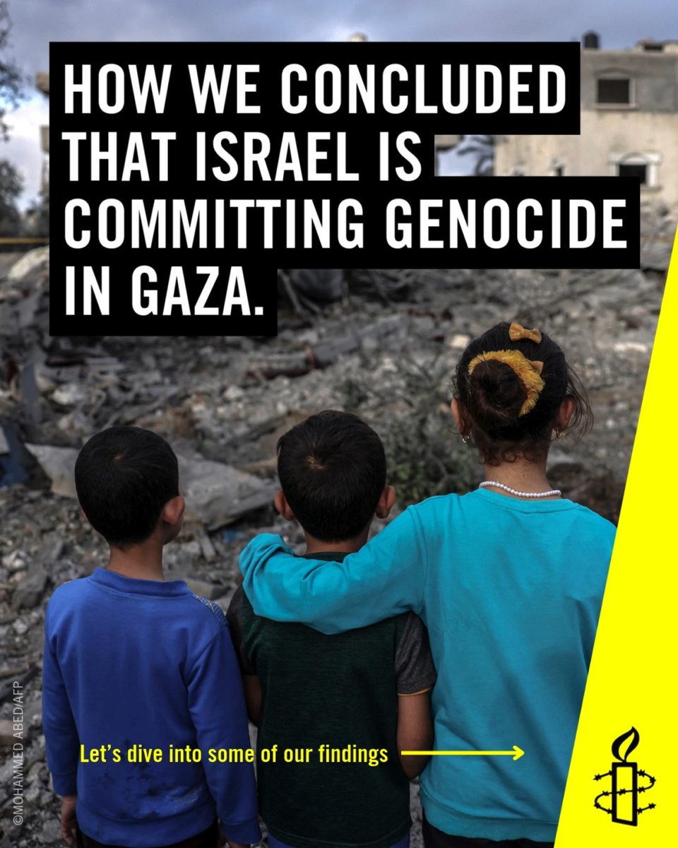 The world has witnessed Israel's genocide against Palestinians in the occupied Gaza Strip and how Israeli authorities continue to dehumanize Palestinians to this day. We are calling on all states to use every legal avenue to bring suspected perpetrators to justice. No one should be allowed to commit genocide and remain unpunished. #EndGazaGenocide