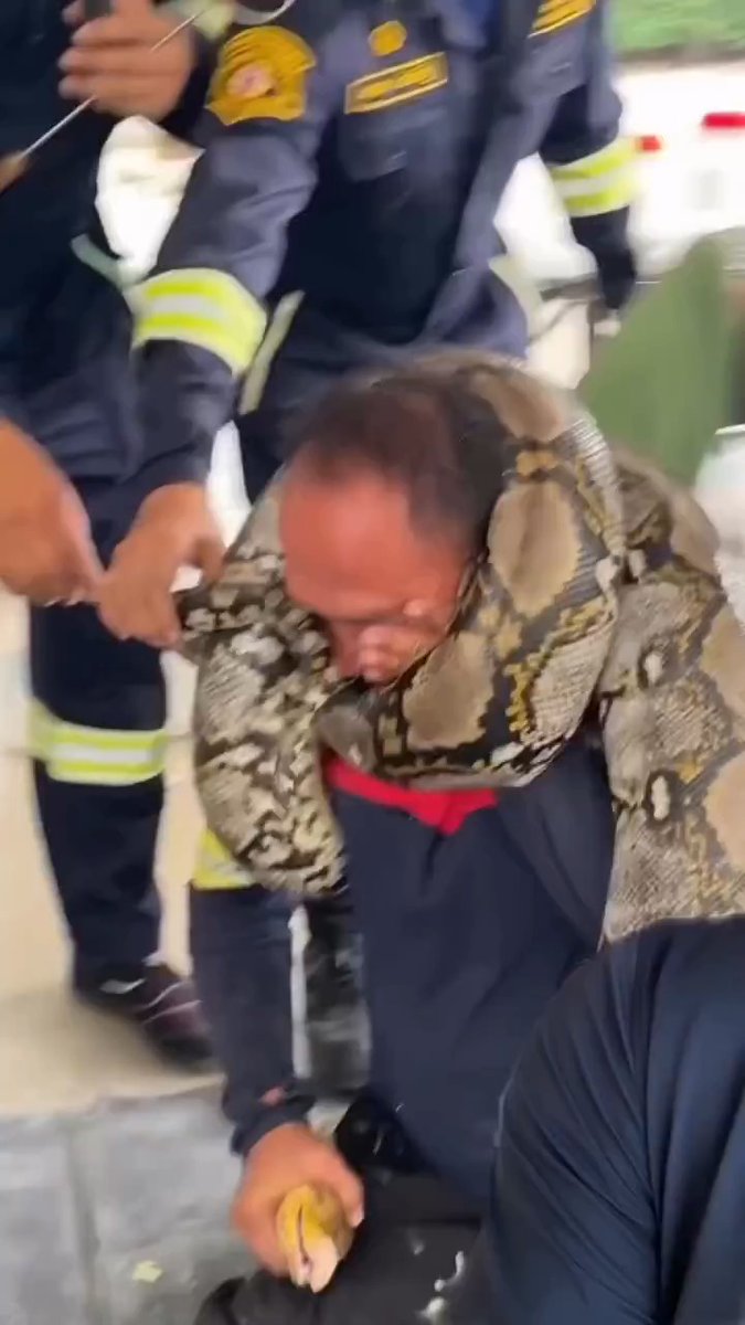 He almost died while trying to demonstrate how to protect your neck during a snake attack.