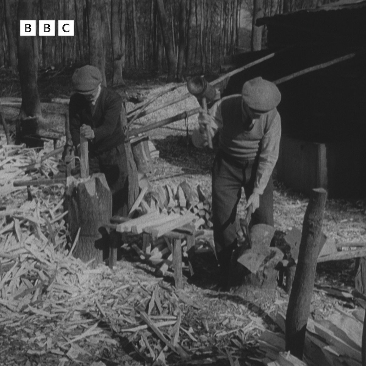 1950: BBC Newsreel visited the chair bodgers of the Chilterns in Buckinghamshire - experts in one of England's oldest rural crafts.
