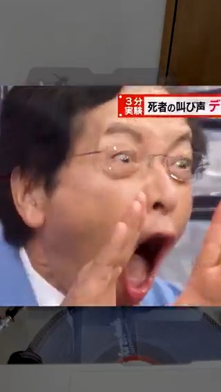 デスホイッスル vs スクリレックス