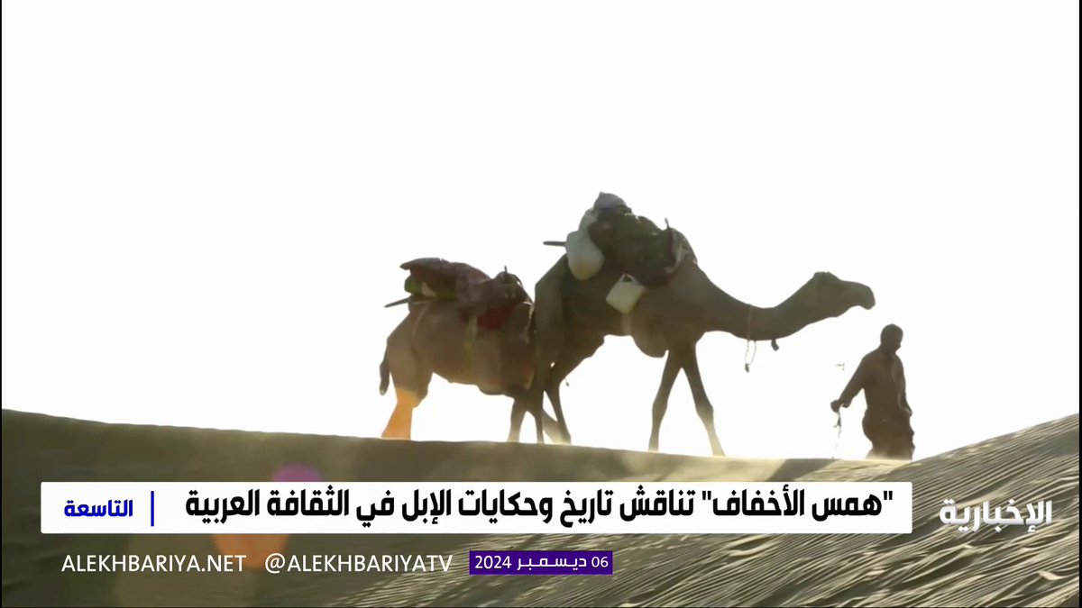 "الإبل" رمز ثقافي جامعة الإمام عبد الرحمن بن فيصل تنظم محاضرة عن أساطير الإبل #التاسعة | #الإخبارية