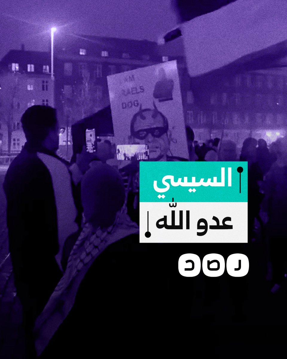 نشطاء ينظمون وقفة احتجاجية أمام مقر استقبال السيسي في العاصمة الدنماركية كوبنهاجن