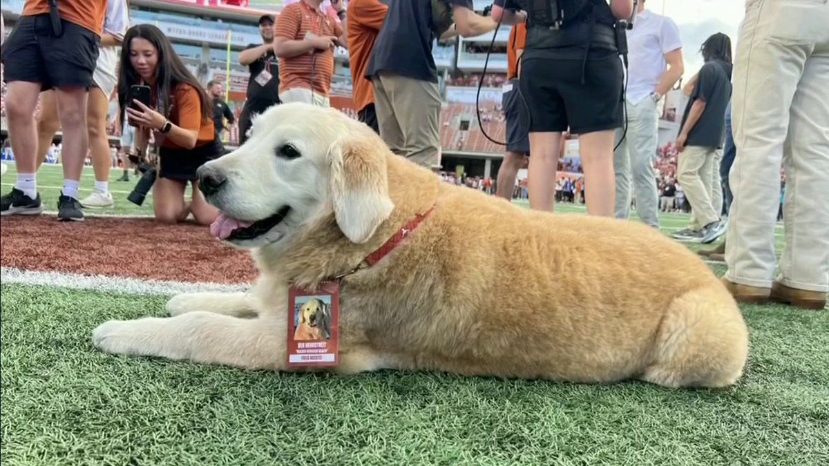 Ben Herbstreit made real connections and truly left a lasting impact ❤️ 100% of donations to The V Foundation for Cancer Research go towards both canine and human cancer research. To learn more visit