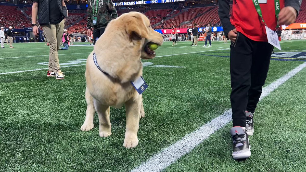 Peter got his pregame warm up in