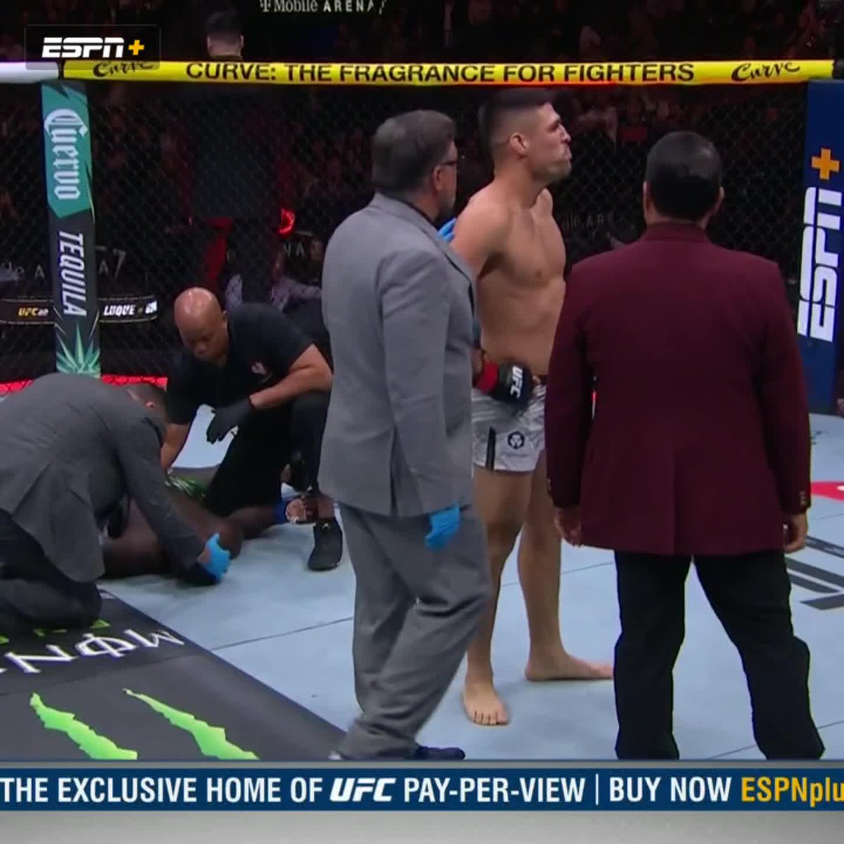 Luque fans we are so fucking back #UFC310