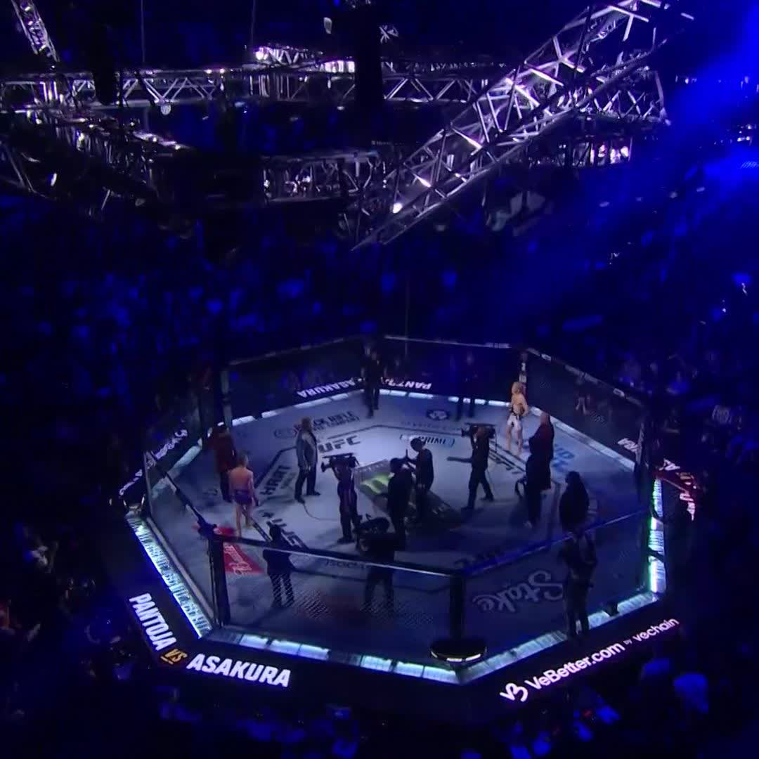 Flyweight title action is a GO #UFC310