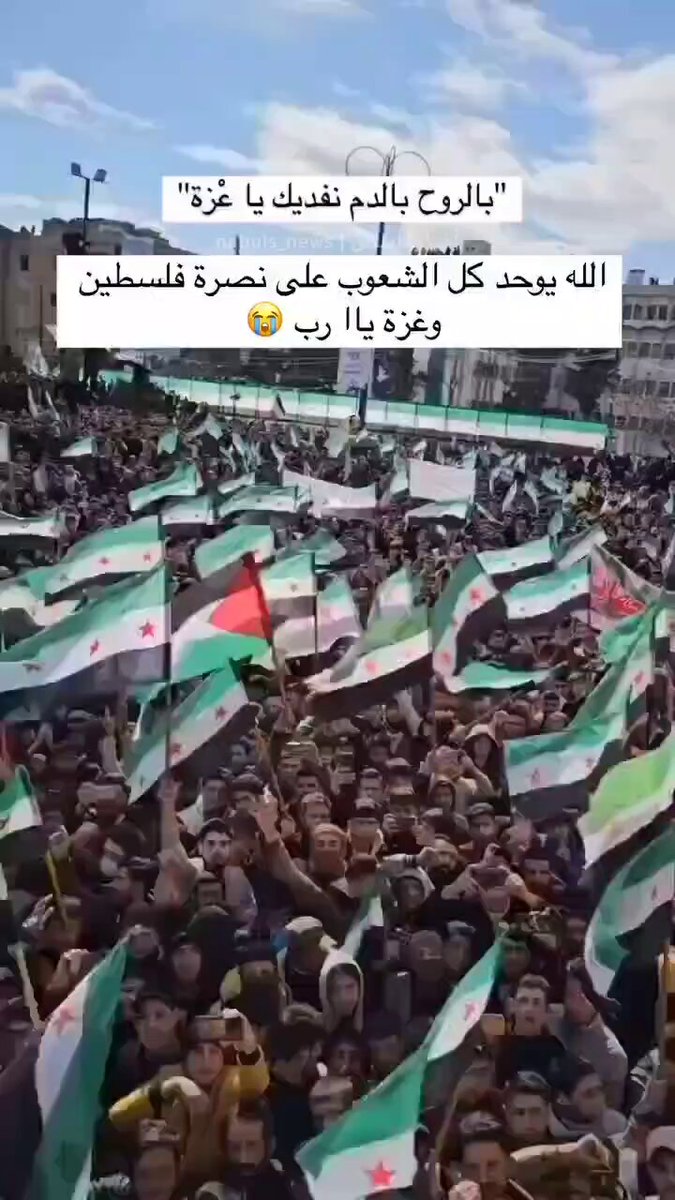 "بالروح بالدم نفديك يا غزة" شاهد ..هتافات السوريين لأهل غزة بعد سقوط النظام على يد المعارضة. #بشار_الأسد #دمشق #سجن_صيدنايا