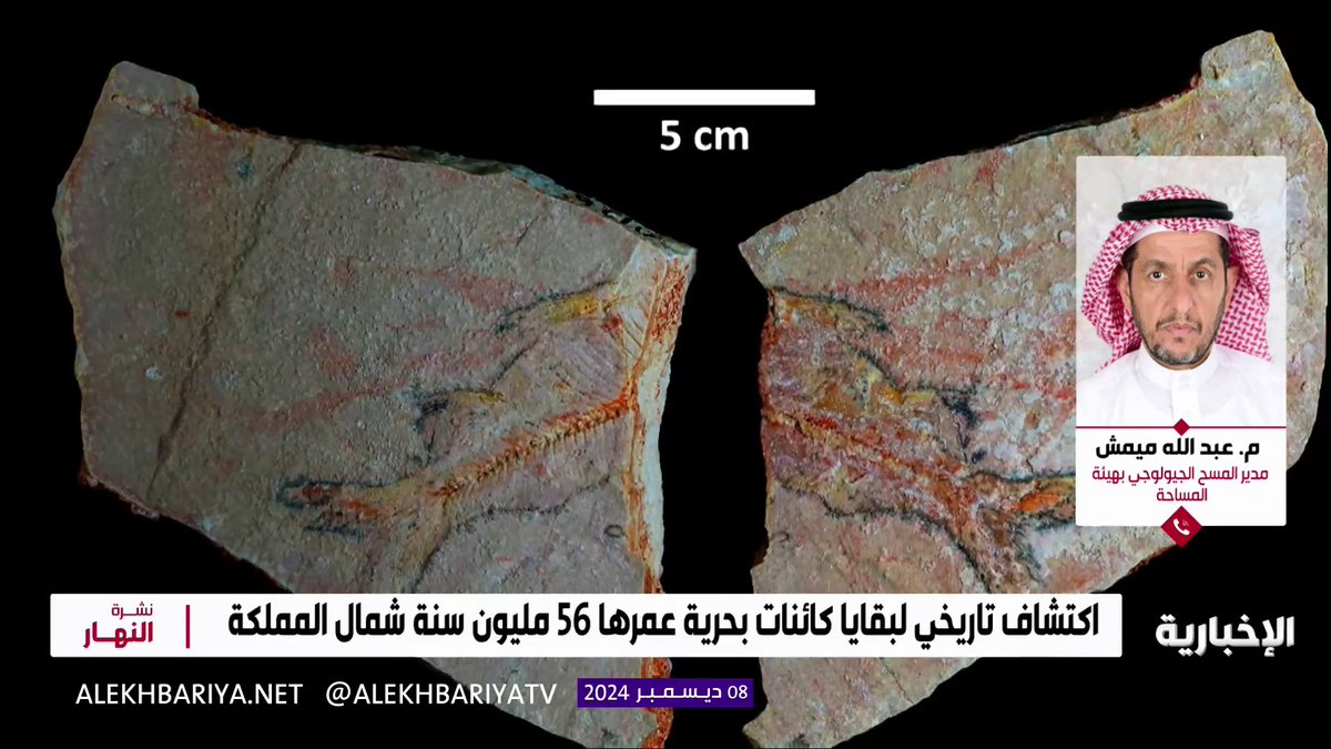 مدير إدارة المسح الجيولوجي في "المساحة الجيولوجية" م. عبد الله ميمش: اكتشاف أحافير "أسماك القرموط" المنقرضة في شمال المملكة دليل على إمكانية اكتشاف المزيد #نشرة_النهار | #الإخبارية