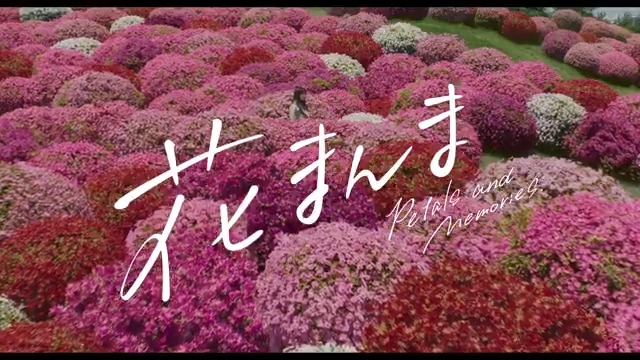 ╭━━━━━━━━━━━━━━╮ 兄貴はホンマ、損な役回りやで ╰━V━━━━━━━━━━━━╯ 🌸*・゚映画『花まんま』 2025年4月25日(金)公開決定🌸.゚* 幸せを願う兄・俊樹(#鈴木亮平)には言えない 妹・フミ子(#有村架純)の“秘密”とは? #映画花まんま