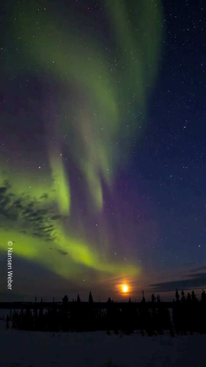 #Nature never ceases to amaze us. 🌠 The #AuroraBorealis is a true wonder of the world, a breathtaking reminder of the beauty and power of nature. If you haven’t already, is seeing it in person on your bucket list?