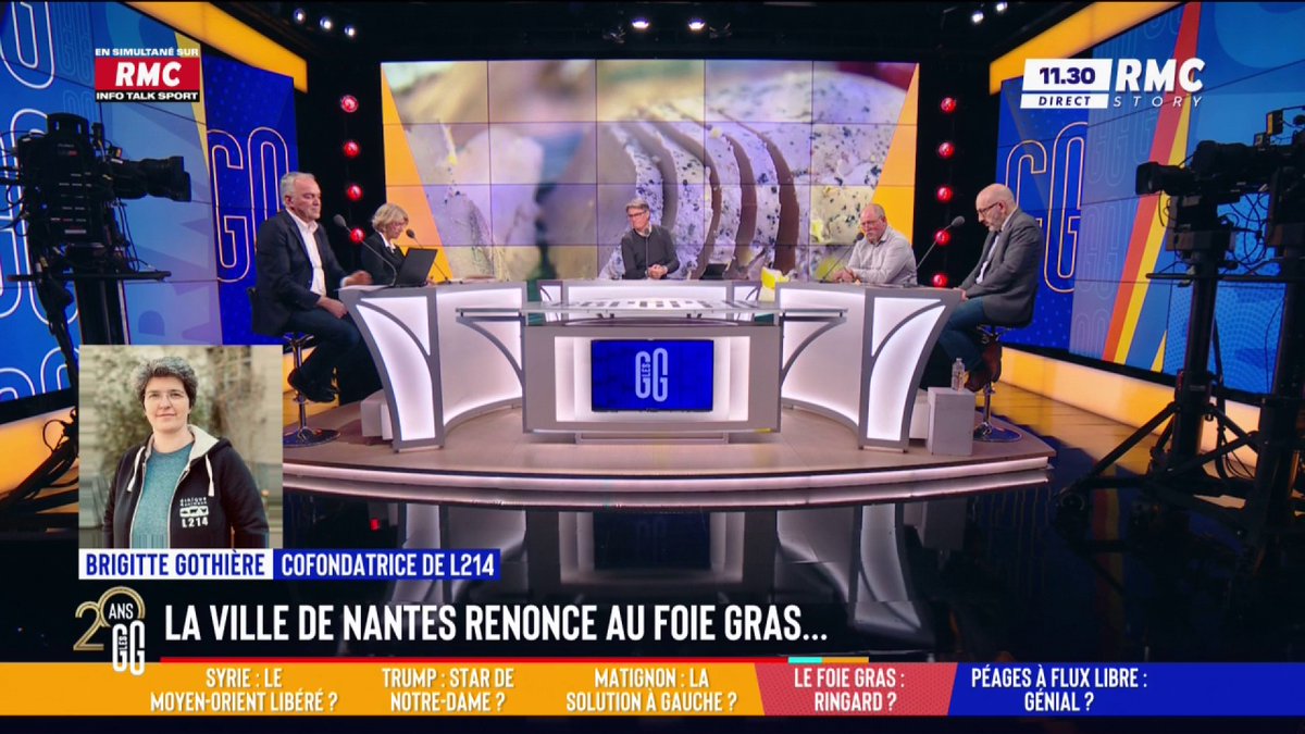 🪿 Sous la pression de L214, des mairies renoncent au foie gras 🎙️ Brigitte Gothière, cofondatrice L214 éthique & animaux : "On a écrit à l'ensemble des municipalités pour les sensibiliser. Suralimenter de force un canard pour provoquer une maladie, c'est un acte de cruauté !" #GGRMC