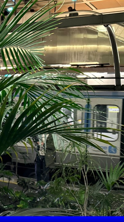 💬 "Ce sont de vraies plantes" 🪴 Saviez-vous que le métro parisien abritait une serre tropicale de 400m², un lieu unique au monde? 🤳 Reportage du reporter de Robin Bernaud