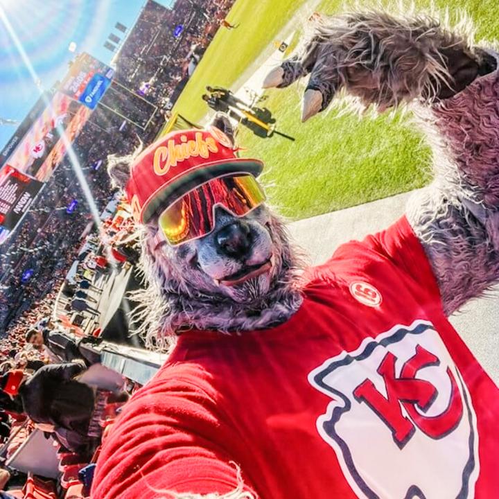 He's passionate, to say the least. Chiefsaholic premieres December 24.