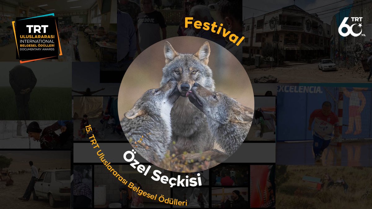 Dünyanın prestijli festivallerinden ödüllerle dönen, çarpıcı hikâyeleriyle dikkatleri üzerine çeken belgeseller, 15. TRT Uluslararası Belgesel Ödülleri'nde festival özel seçkisiyle izleyiciyle buluşuyor. Gösterimler halka açık ve ücretsizdir. 12-15 Aralık'ta, Fişekhane'de!