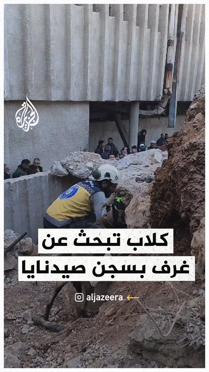 كلاب إنقاذ تبحث عن معتقلين بغرف سرية في سجن #صيدنايا #الجزيرة_سوريا
