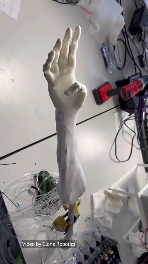The Clone hand is a compact, biomimetic robotic hand designed to mimic human anatomy and perform a diverse array of manipulation tasks. Credit: Clone Robotics