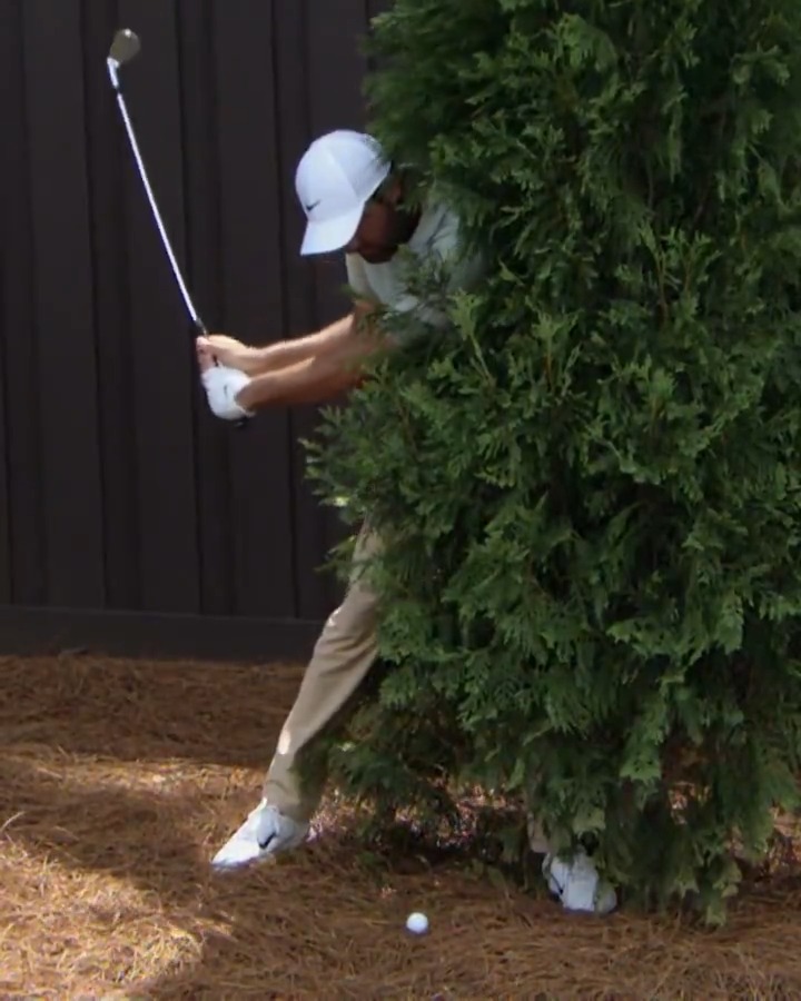 You can't always find the green in regulation. Best escape shots from the 2024 PGA TOUR Season. (Presented by TruGreen)