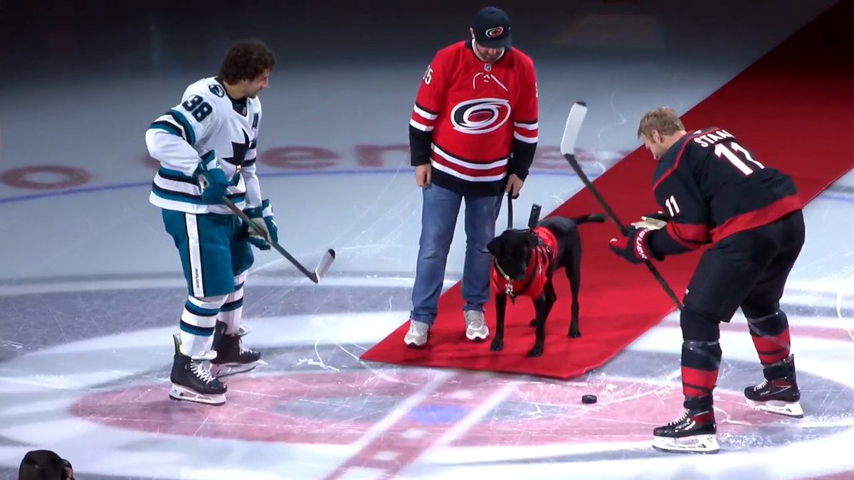 GOOD BOY ALERT 🐶 Ripken the Bat Dog returned and dropped the puck in Carolina tonight!