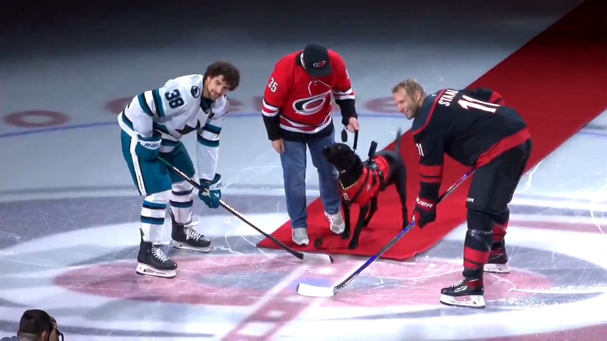 A LEGEND IN THE HOUSE 🐶 No better good boy to drop the puck on NC Night than Ripken the Bat Dog!