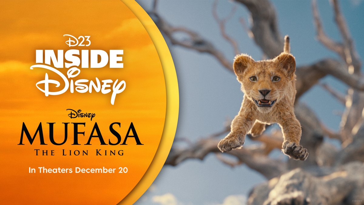 Journey back to the Pride Lands with D23 Inside Disney as we take you behind the scenes of #Mufasa: The Lion King! Hear from director Barry Jenkins and members of the voice cast; step onto the premiere's red carpet; and more!