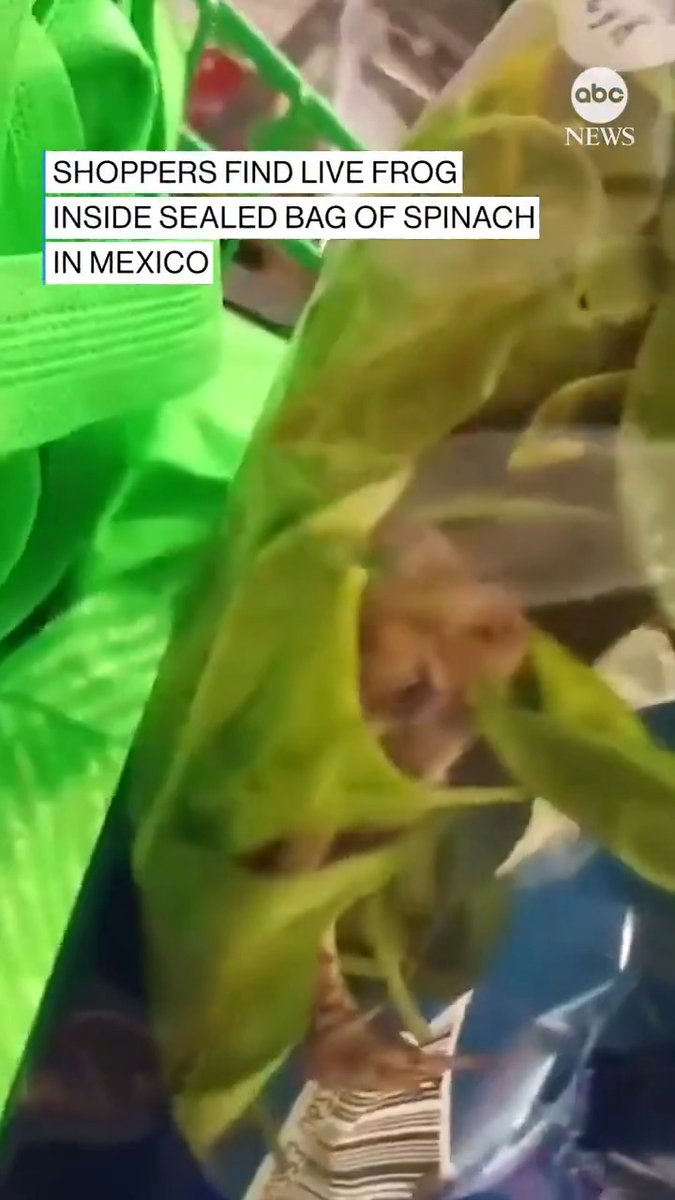 When these shoppers hopped over to the grocery store to pick up some spinach, they were really not expecting to find a live frog nestled inside the bag with the produce.
