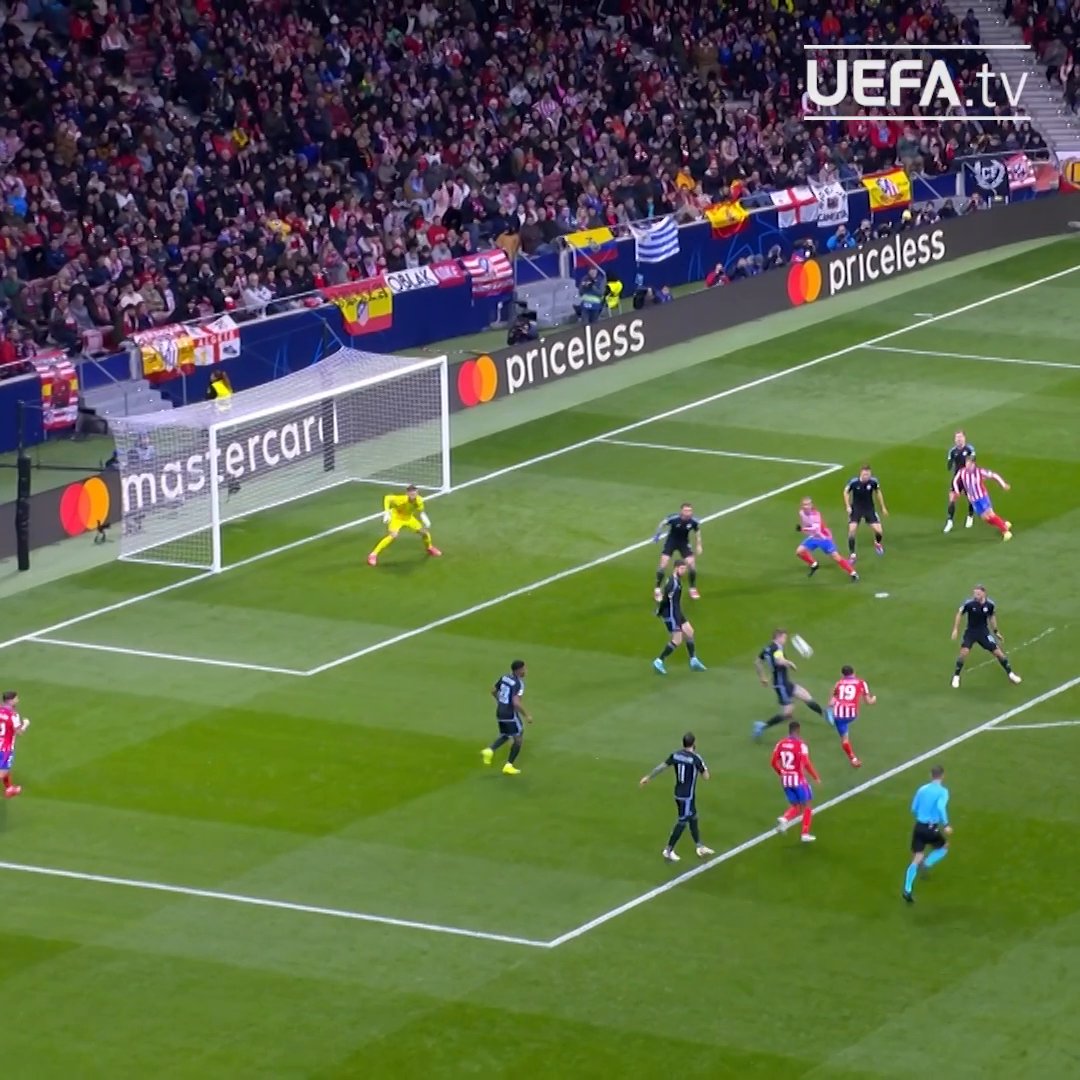 🕸️ LaAraña19 solo marca GOLAZOS... ¡Qué golpeo! #UCL | Atlético de Madrid
