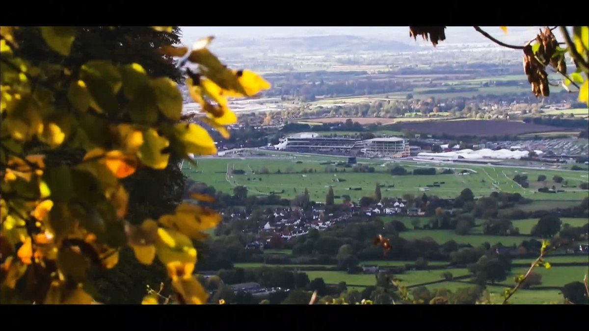 Cheltenham. A place to live for ❤️ #ITVRacing | Brough Scott