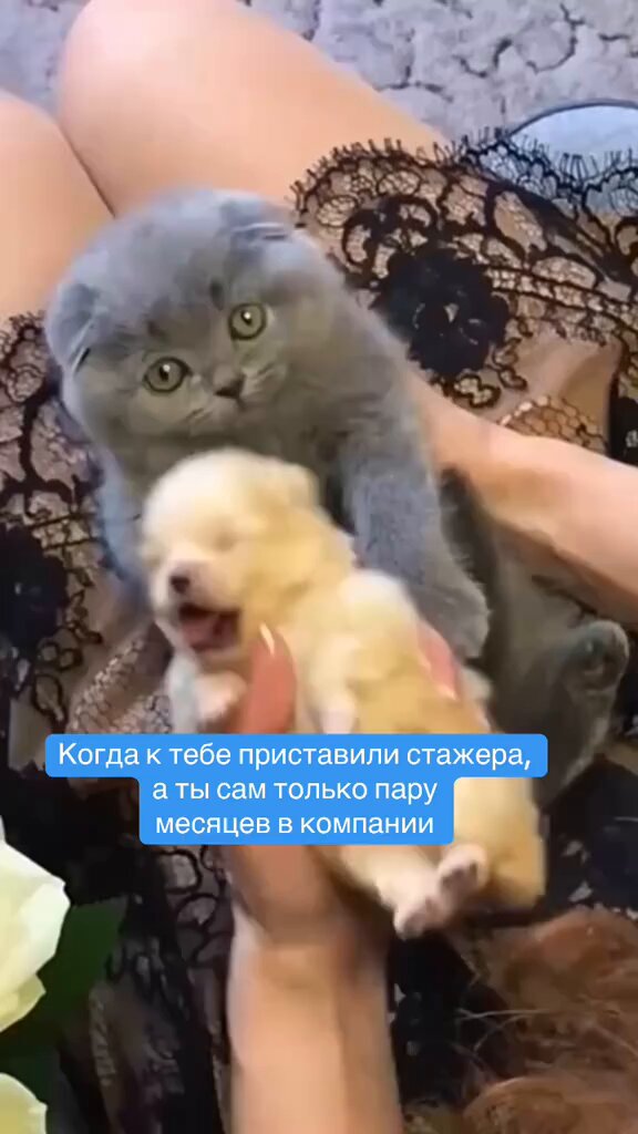 Однажды Хемингуэй поспорил, что сможет написать самый короткий рассказ, способный растрогать любого.