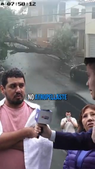 📍 El árbol atropello el auto... o algo así era 🫠 #TelefuturoPy #Paraguay #Parati #viral