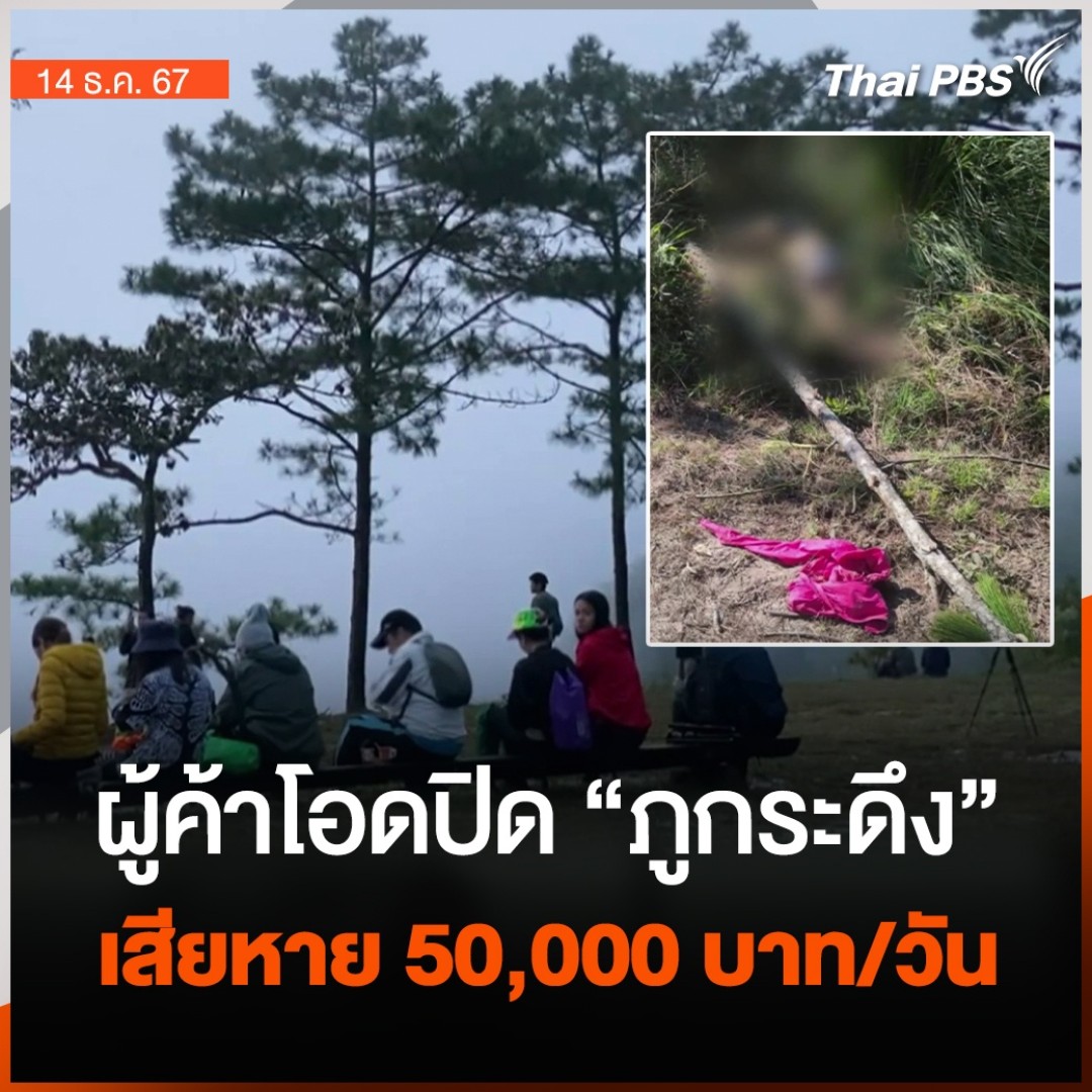 ผู้ค้าโอด ได้รับผลกระทบหนัก ทำยอดขายหดวันละ 50,000 บาท หลัง อุทยานแห่งชาติ #ภูกระดึง ประกาศปิดชั่วคราว ตั้งแต่ 13 ธ.ค. 67 เป็นต้นต้นไป จนกว่าสถานการณ์ จะกลับเข้าสู่สภาวะปกติ จากเหตุช้างป่า ทำร้ายนักท่องเที่ยวเสียชีวิต #ชั่วโมงข่าวเสาร์อาทิตย์ #ThaiPBS #ข่าวไทยพีบีเอส