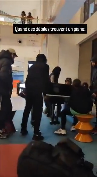 Existe-t-il meilleure allégorie que ces barbares s'en prenant à un piano de concert pour dire l'enfer de la submersion migratoire extra-européenne ?