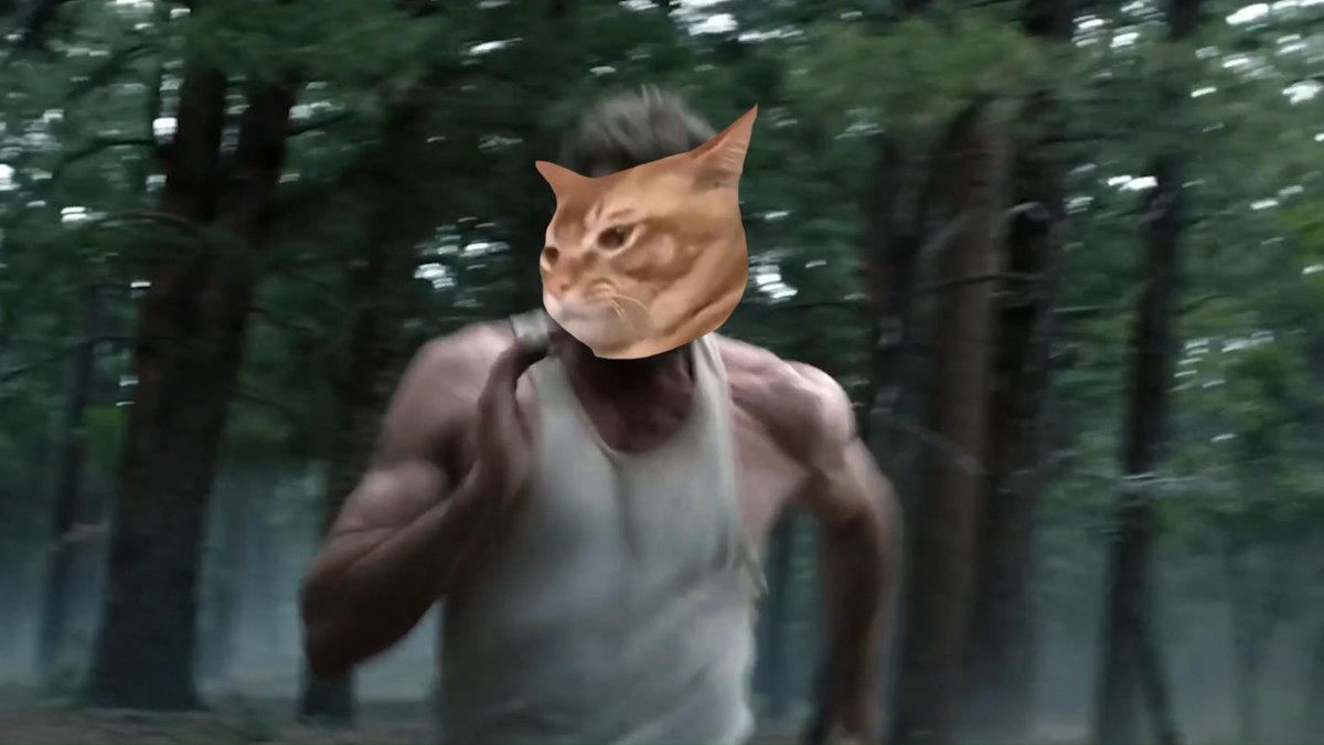Feel like going full berserker mode 😼