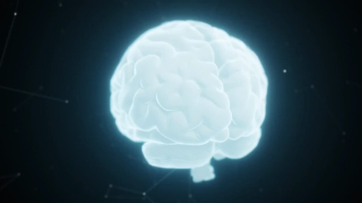 Reading isn’t just a skill—it reshapes your brain. New research reveals how key brain regions in the left hemisphere adapt with practice, highlighting the profound impact of reading on language and cognition. #Neuroscience #Reading