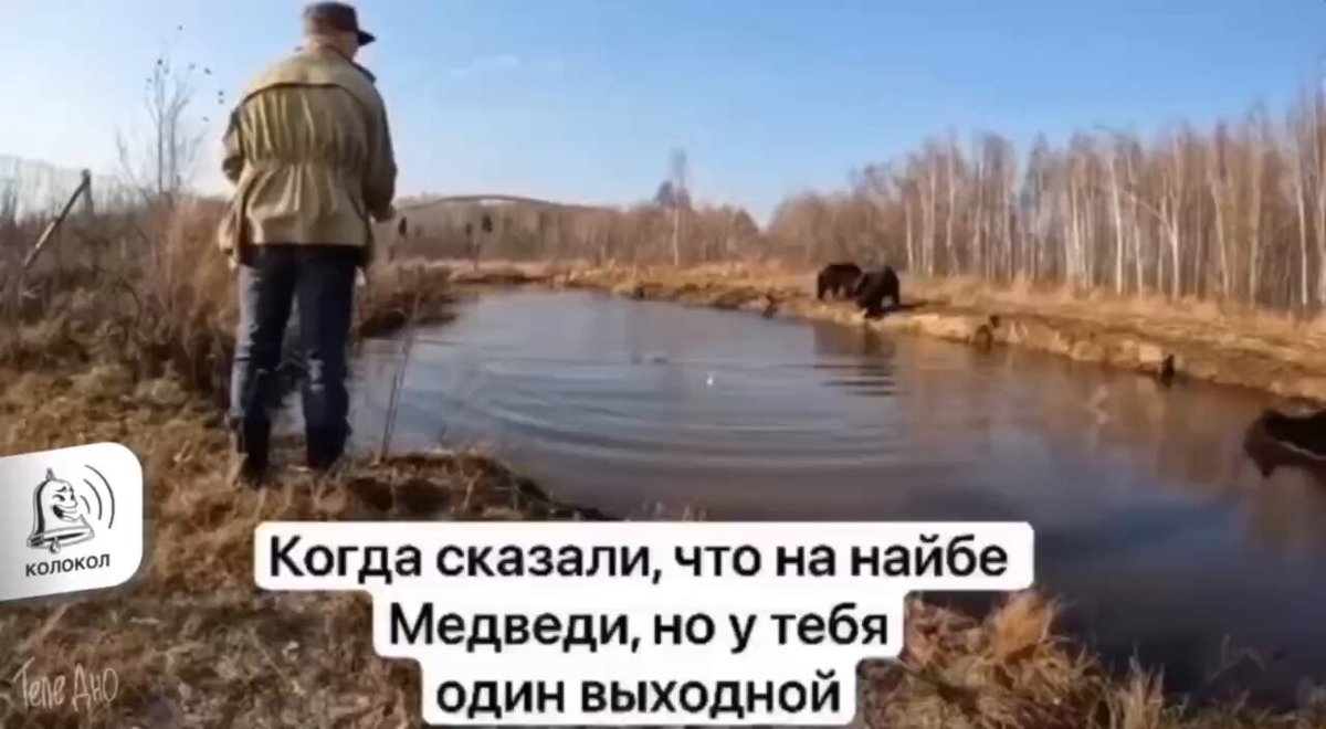 🎣 A Russian man from the village came fishing, but he got 3 competitors 🐻🐻🐻 "What are you doing? Catch the fish yourself! I want to fish too!", he told them and started playing with the bears. - FRWL