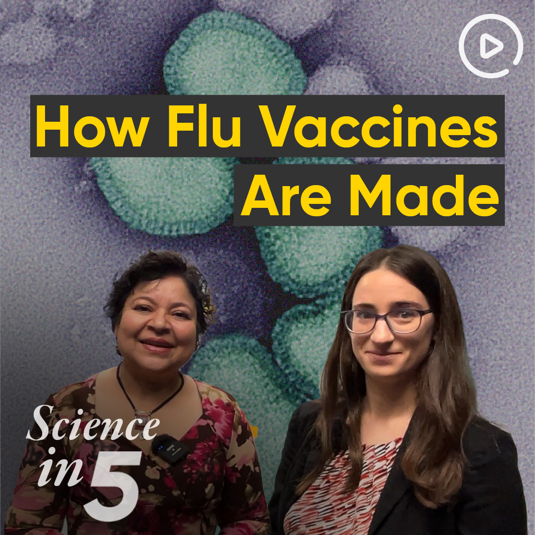 How do we track the #Influenza virus every season to decide what strains of the virus to include in a vaccine? Is the vaccine safe and when should you get vaccinated? Shoshanna Goldin explains in Science in 5.