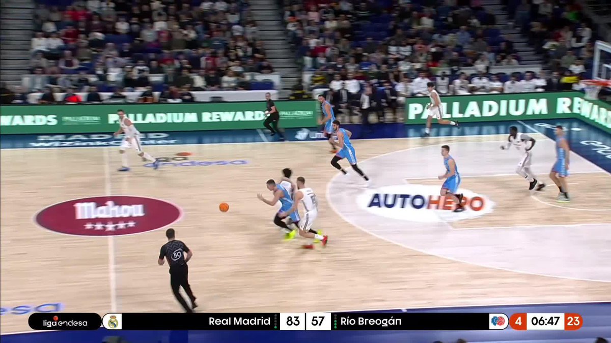 😱😱😱😱😱 ¡LO QUE SE HA INVENTADO ARANITOVIC! 📺 Movistar Plus+ | Río Breogán #LigaEndesa | #ConectaConTuPasión
