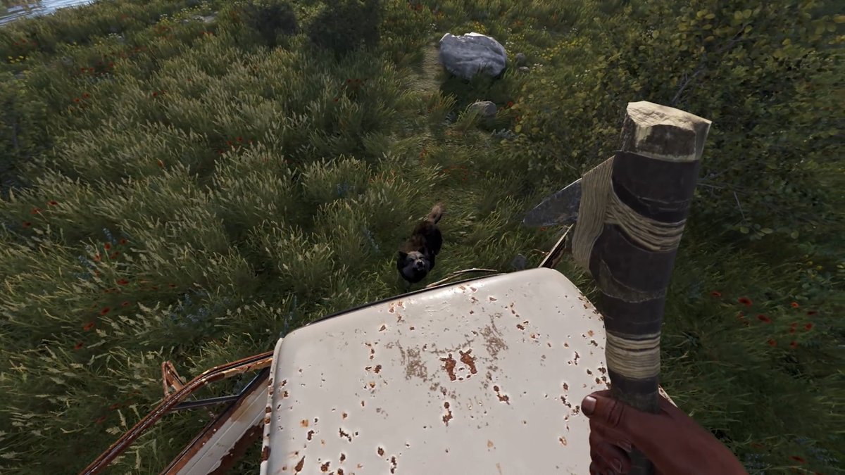 This month wolf AI has been balanced and we've improved the counter-plays to the wolves, as we still want them to feel challenging but not unfair. Wolves will now back away when injured, their howls will only attract other wolves from their pack and their jumping range has been reduced. Read more about the changes on our devblog: