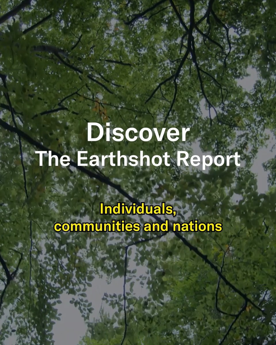 Here’s the dose of optimism you need for 2025! Watch The Earthshot Report to discover some of the most inspiring solutions to repair our planet and meet the incredible people who are making them happen. Now streaming on BBC iPlayer in the UK.