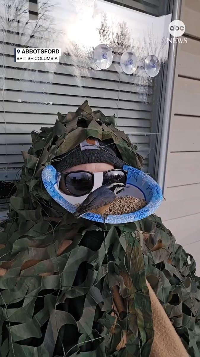 This Canadian woman found one way to get close to nature: She installed a bird feeder on her face.