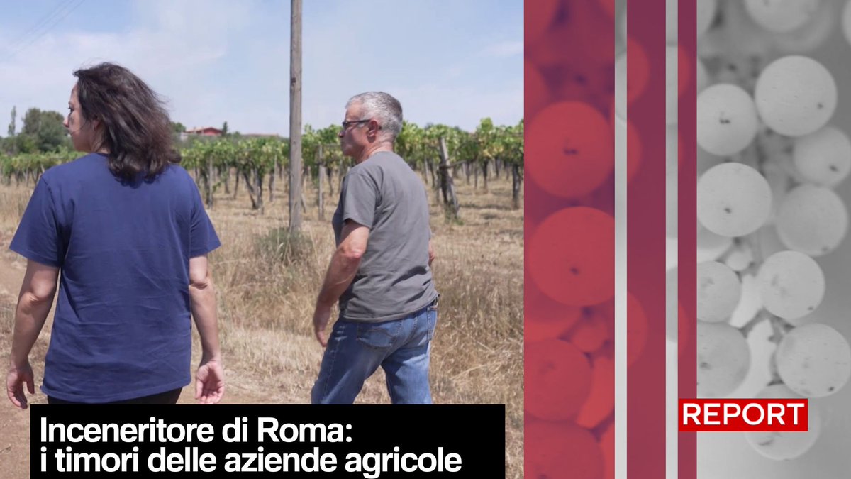 Il termovalorizzatore dovrebbe sorgere ma nell'area di Santa Palomba. Qui non ci sono soltanto capannoni ma anche aziende agricole biologiche. Segui #Report ora in diretta su #Rai3👇