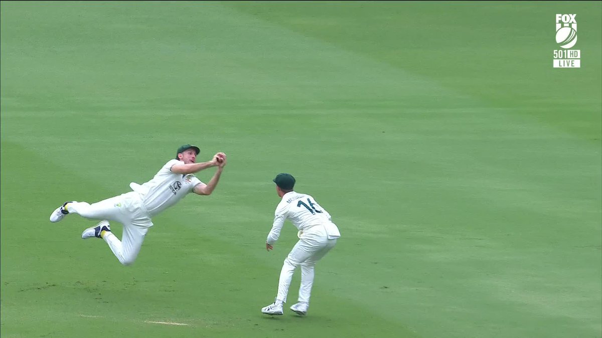 'LEAVE IT TO THE BISON!' 😍😍😍 #AUSvIND
