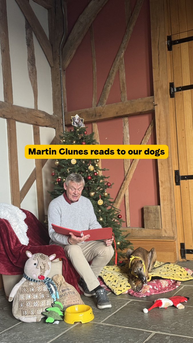 Martin Clunes reading our specially adapted version of ‘Twas the Night Before Christmas’ before the dogs get tucked in for the night is the most wholesome content you’ll see today 🎄