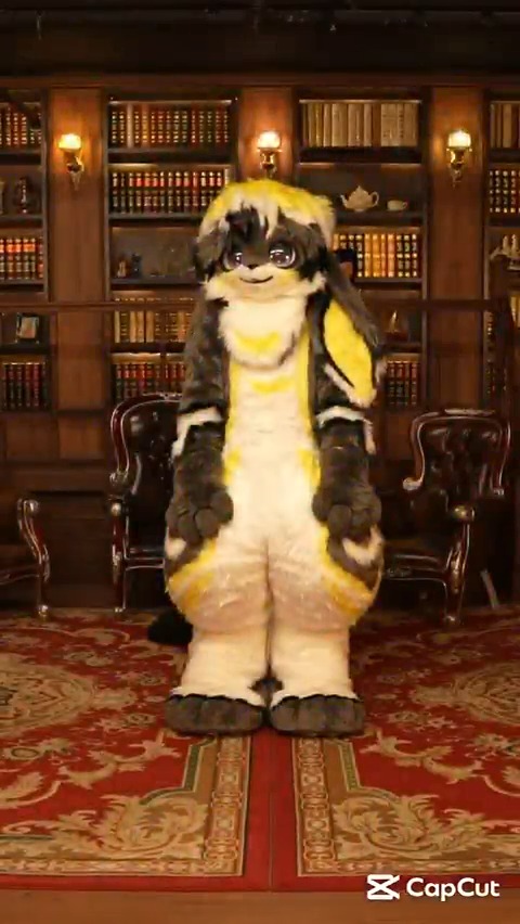 ~【Mio Mao Dance】~ 귀여운 Doki "뉴비" "루넷" 이와 같이 찍었어요~! 💛KaRo 📸ELite PLUS📷 🔜 SFF ? ✂ME #FursuitEveryDay #DokiFursuit #MioMaoDance #homage #Fructose_c