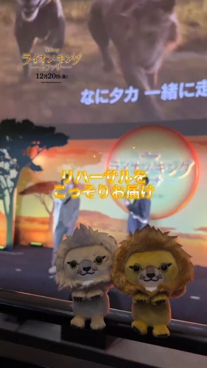📣この後18:50〜❗️ 超実写プレミアム吹替版 『#ライオンキングムファサ』 ミュージカルプレミア生配信✨ #ムファサ 役 #尾上右近 さん #タカ 役 #松田元太 さん #サラビ 役 #MARIA_E さん リハーサルの様子をこっそりお届け🦁🦁 #ムファサとタカ兄弟の旅