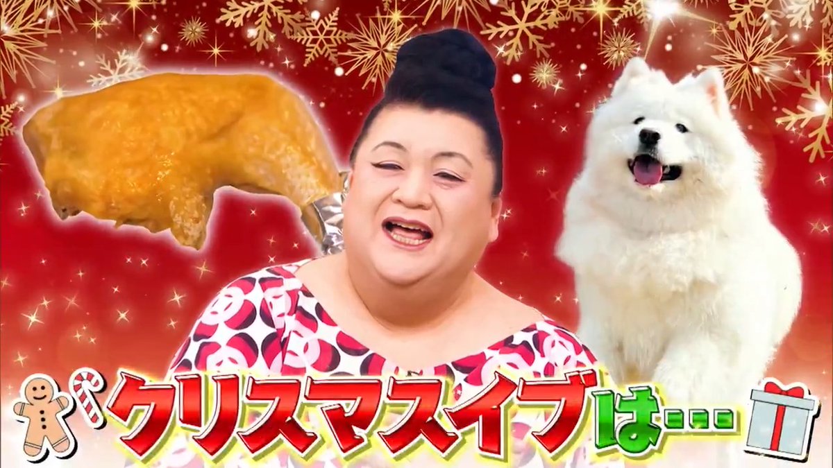 ご視聴ありがとうございました‼️ 来週はクリスマスSP🎅🏻🎄 🍗\からあげ&サモエドの世界/🐩 #クリスマスに食べたいジューシー・骨のダシ染み込む絶品からあげ集結 #フライドチキンと何がちがうのか #SNSで話題のもふかわ白くて大っきい犬・サモエド #マツコさんメロメロ