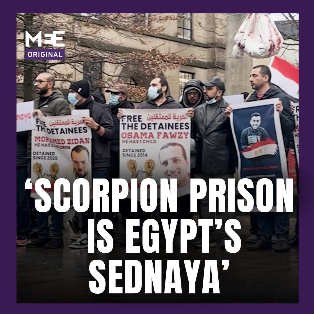 "Sisi's prisons are no less horrifying than the atrocities of Syria's prisons." After Syria's rebels freed scores of political detainees, Egyptians are calling for the same in Egypt. Since 2013, Egypt's President Sisi has detained over 60,000 political prisoners nationwide.